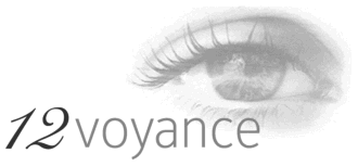12voyance logo
