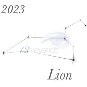 2023 - Lion