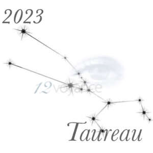 2023 - Taureau